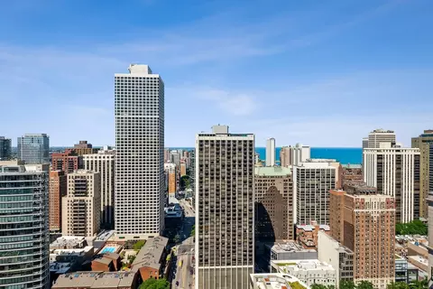 10 E Delaware Pl #31E, Chicago, IL 60611 photo 20