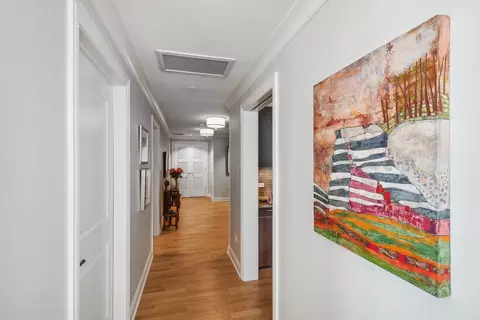 10 E Delaware Pl #31E, Chicago, IL 60611 photo 3