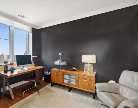 10 E Delaware Pl #31E, Chicago, IL 60611 photo 16