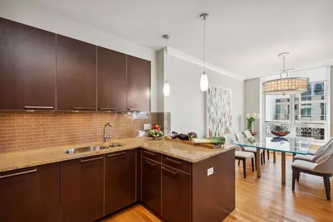 10 E Delaware Pl #31E, Chicago, IL 60611 photo 10