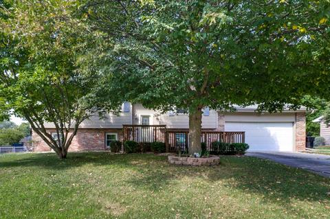 113 S Bone Dr, Normal, IL 61761 photo 34