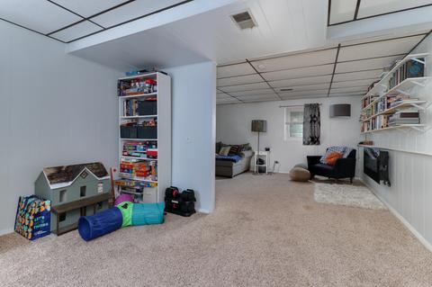 113 S Bone Dr, Normal, IL 61761 photo 21