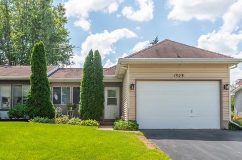 1323 Maroon Dr, Elgin, IL 60120 photo 1