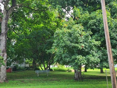 12488 N 350th Ave, Mcnabb, IL 61335 photo 5