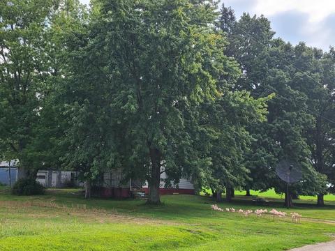 12488 N 350th Ave, Mcnabb, IL 61335 photo 3