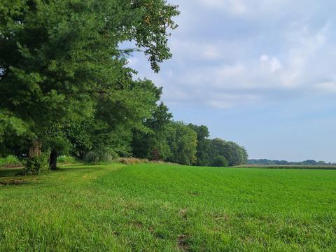 12488 N 350th Ave, Mcnabb, IL 61335 photo 7