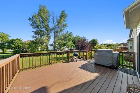 23736 Adams Ct, Plainfield, IL 60586 photo 24