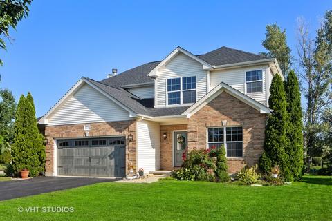 23736 Adams Ct, Plainfield, IL 60586 photo 1