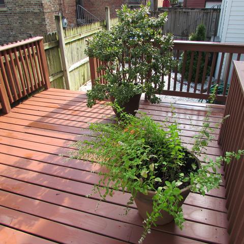 250 E 37th St, Chicago, IL 60653 photo 39