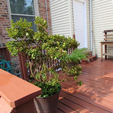 250 E 37th St, Chicago, IL 60653 photo 37
