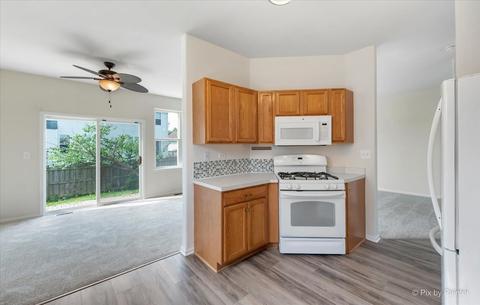 28905 Bakers Dr, Lakemoor, IL 60051 photo 8