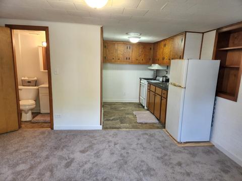 7 Lynch St, Elgin, IL 60123 photo 7