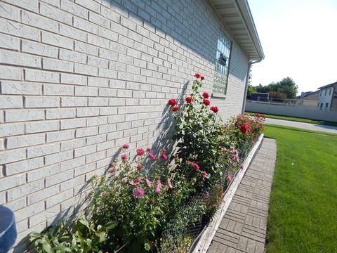 303 Deerpath Dr, Minooka, IL 60447 photo 17