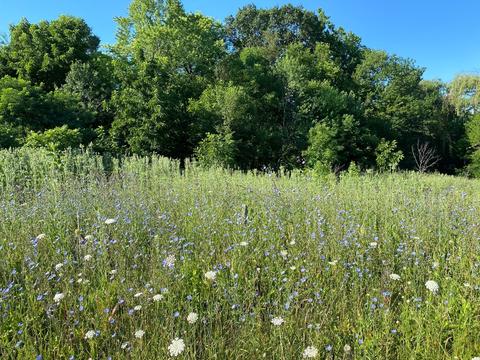 Lot 7 Buena Terrace, Antioch, IL 60002