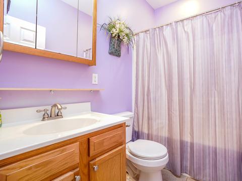 308 N Cleveland St, Downs, IL 61736 photo 19
