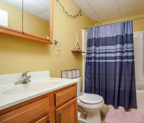308 N Cleveland St, Downs, IL 61736 photo 12