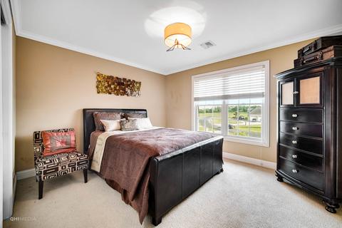 6832 W Wagner Dr, Monee, IL 60449 photo 21