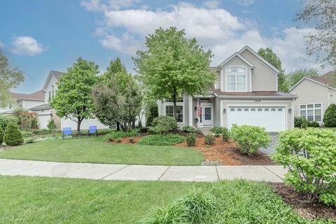 1275 Dunbarton Dr, Aurora, IL 60502 photo 1
