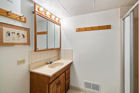 907 Eddy Ct, Wheaton, IL 60187 photo 15