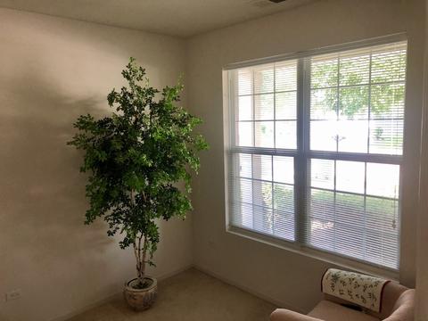 2467 Rolling Ridge Ln, Elgin, IL 60124 photo 9