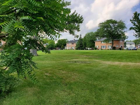 34 Mccarthy Rd, Park Forest, IL 60466 photo 4