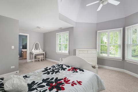 320 Spring Ave, Naperville, IL 60540 photo 31