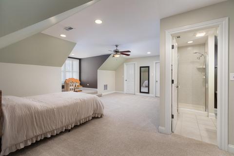 320 Spring Ave, Naperville, IL 60540 photo 38