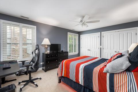 320 Spring Ave, Naperville, IL 60540 photo 35