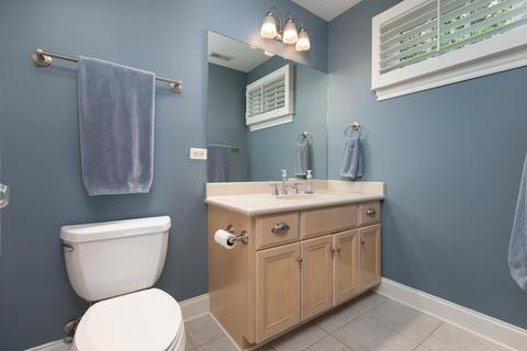 320 Spring Ave, Naperville, IL 60540 photo 32