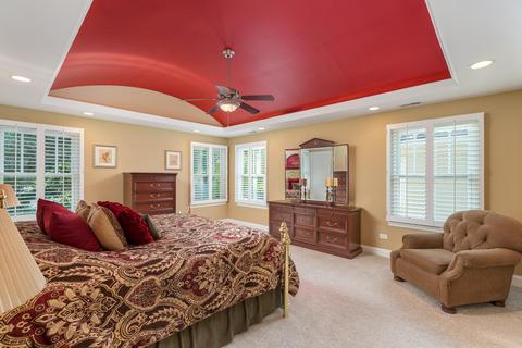 320 Spring Ave, Naperville, IL 60540 photo 25