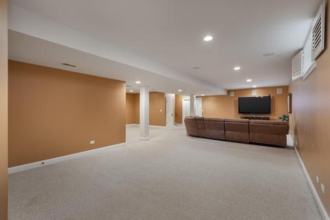320 Spring Ave, Naperville, IL 60540 photo 40