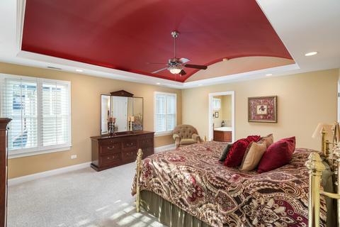 320 Spring Ave, Naperville, IL 60540 photo 26