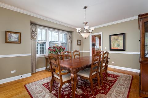 320 Spring Ave, Naperville, IL 60540 photo 14