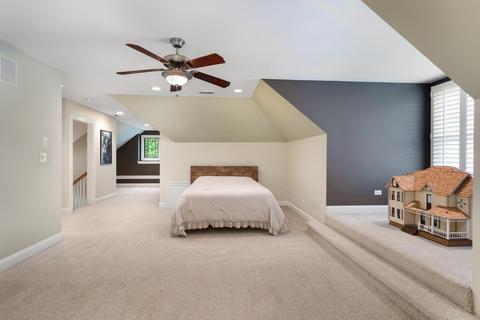 320 Spring Ave, Naperville, IL 60540 photo 36
