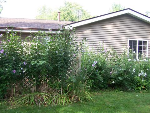 1914 Flower St, Mchenry, IL 60050 photo 21
