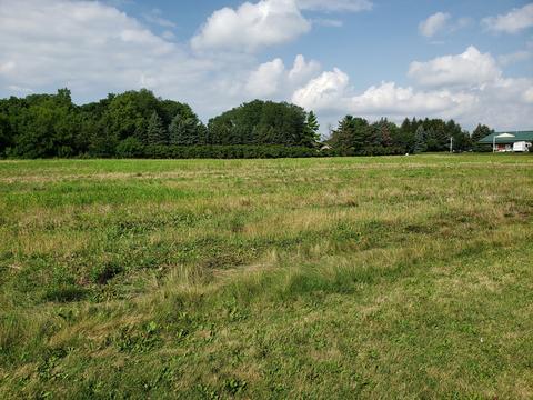 00000 Dayfield Dr, Plainfield, IL 60544 photo 4