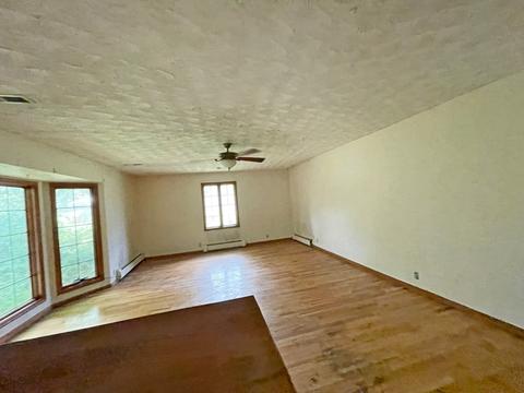 1020 W 4th St, Spring Valley, IL 61362 photo 18
