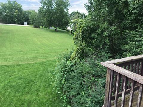 1373 Coven Cir, Davis, IL 61019 photo 3