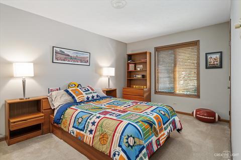 1985 Salem Rd, Elgin, IL 60123 photo 19