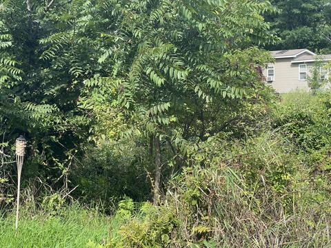 25-63 Woodhaven Lks, Sublette, IL 61367 photo 15