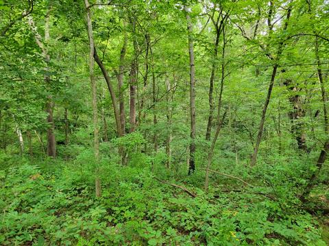 9 Commanche Ct, Putnam, IL 61560 photo 1