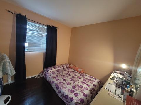 230 Bode Rd, Hoffman Estates, IL 60169 photo 10