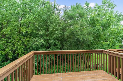 4 Grandview Ct, Algonquin, IL 60102 photo 19