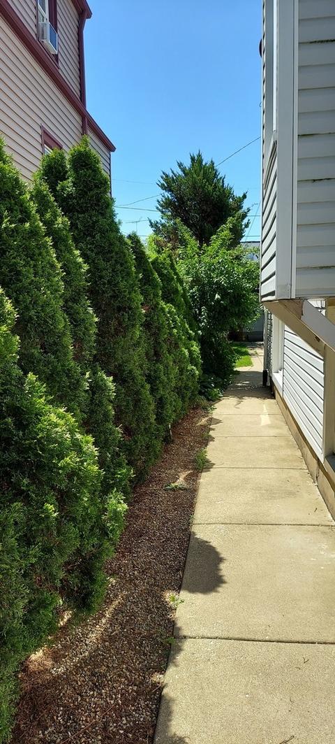 4841 W Cornelia Ave, Chicago, IL 60641 photo 34