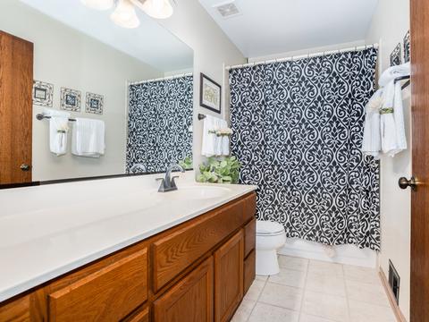 22209 W Ocala Ct, Plainfield, IL 60544 photo 13