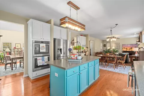 182 Sunflower Ln, Bartlett, IL 60103 photo 3