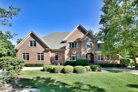 800 E Hickory Ave, Addison, IL 60101 photo 1