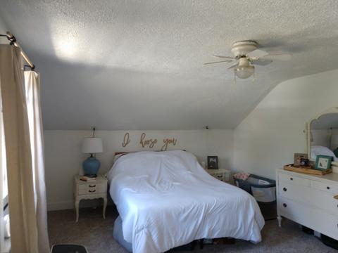308 Spruce St, Delavan, IL 61734 photo 21