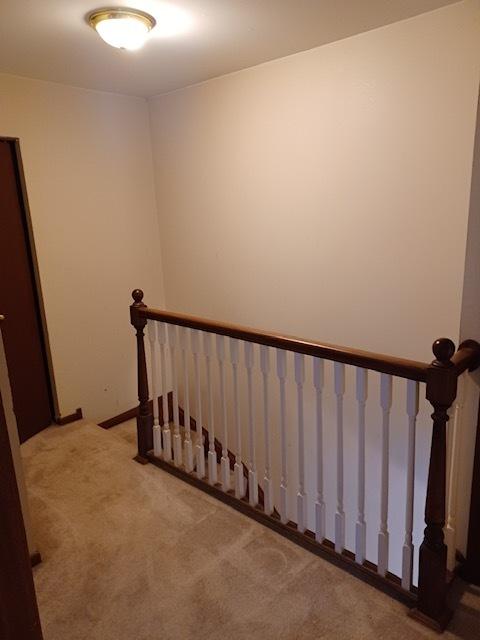 438 Sunnybrook Ln, Wheaton, IL 60187 photo 10
