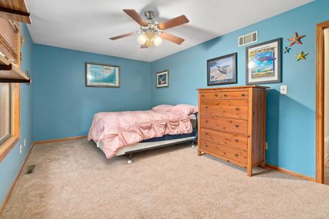 6295 Junebug Ln, Morris, IL 60450 photo 18